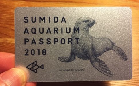 こんなにお得でいいの すみだ水族館の年間パスポートの特典 魅力を徹底解説 スカなび