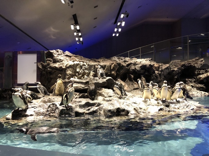 すみだ水族館