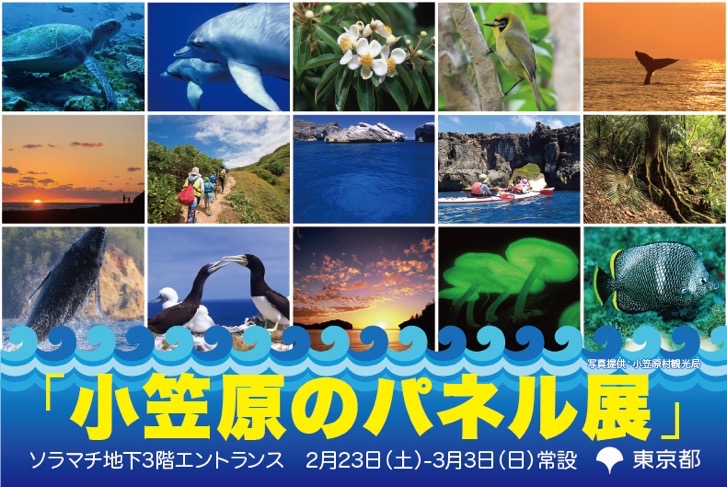 ogasawara.jpg 小笠原のパネル展