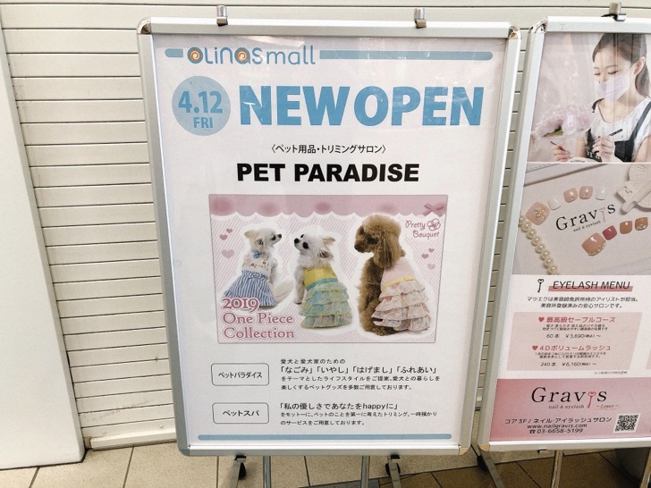 PET PARADISE