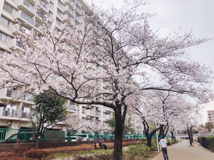 大横川親水公園