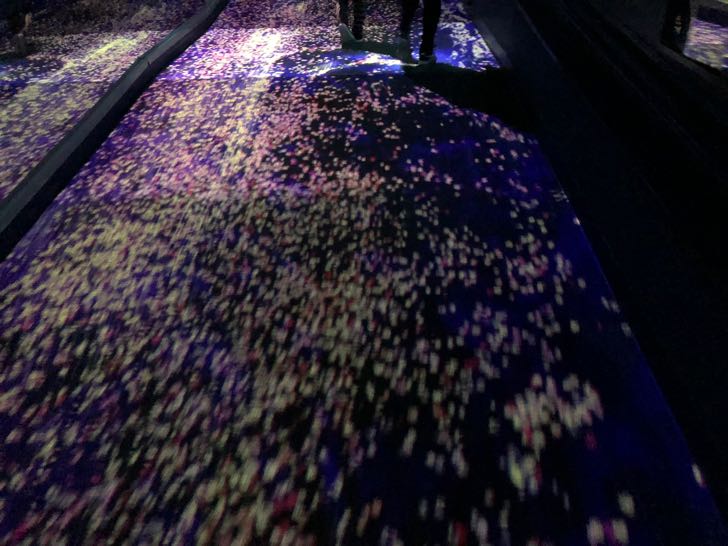 すみだ水族館 桜とクラゲ