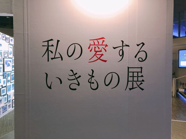 私の愛するいきもの展