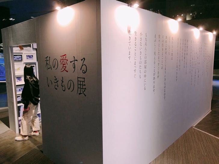 私の愛するいきもの展