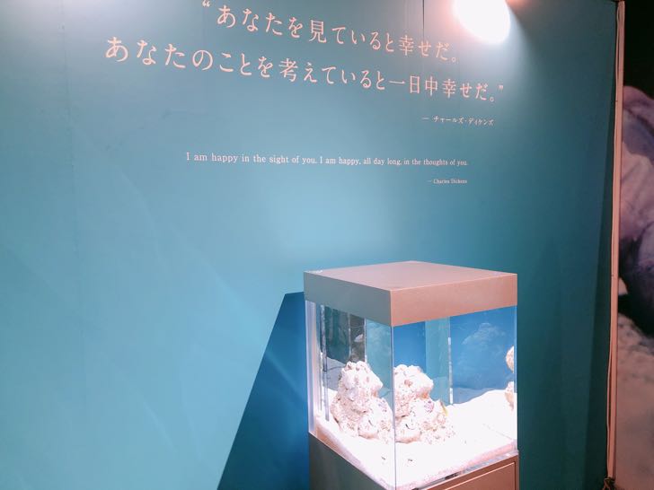 私の愛するいきもの展