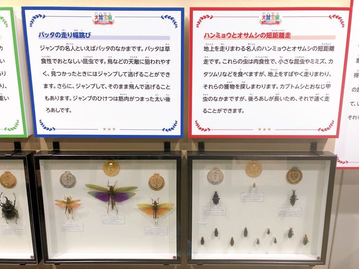 大昆虫展 2019 スカイツリー ソラマチ