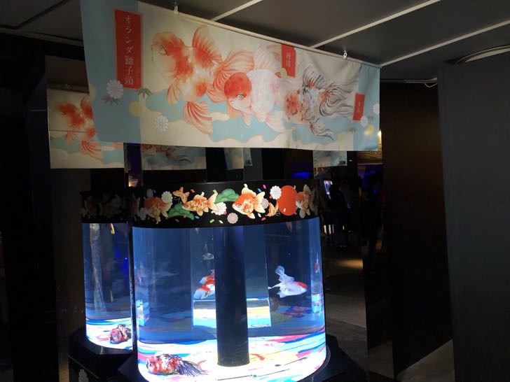 金魚LOVE展 すみだ水族館