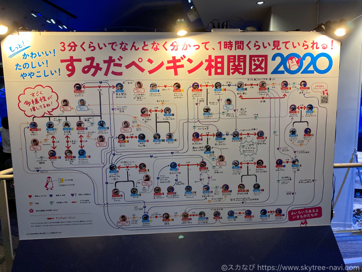 ペンギン相関図2020