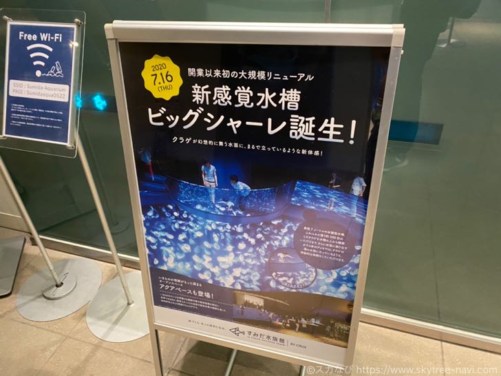 すみだ水族館営業再開