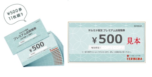 sub4.png テルミナ プレミアムお買物券