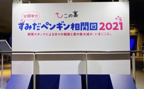 こんなにお得でいいの すみだ水族館の年間パスポートの特典 魅力を徹底解説 スカなび こんなにお得でいいの すみだ水族館の年間パスポートの特典 魅力を徹底解説 スカなび