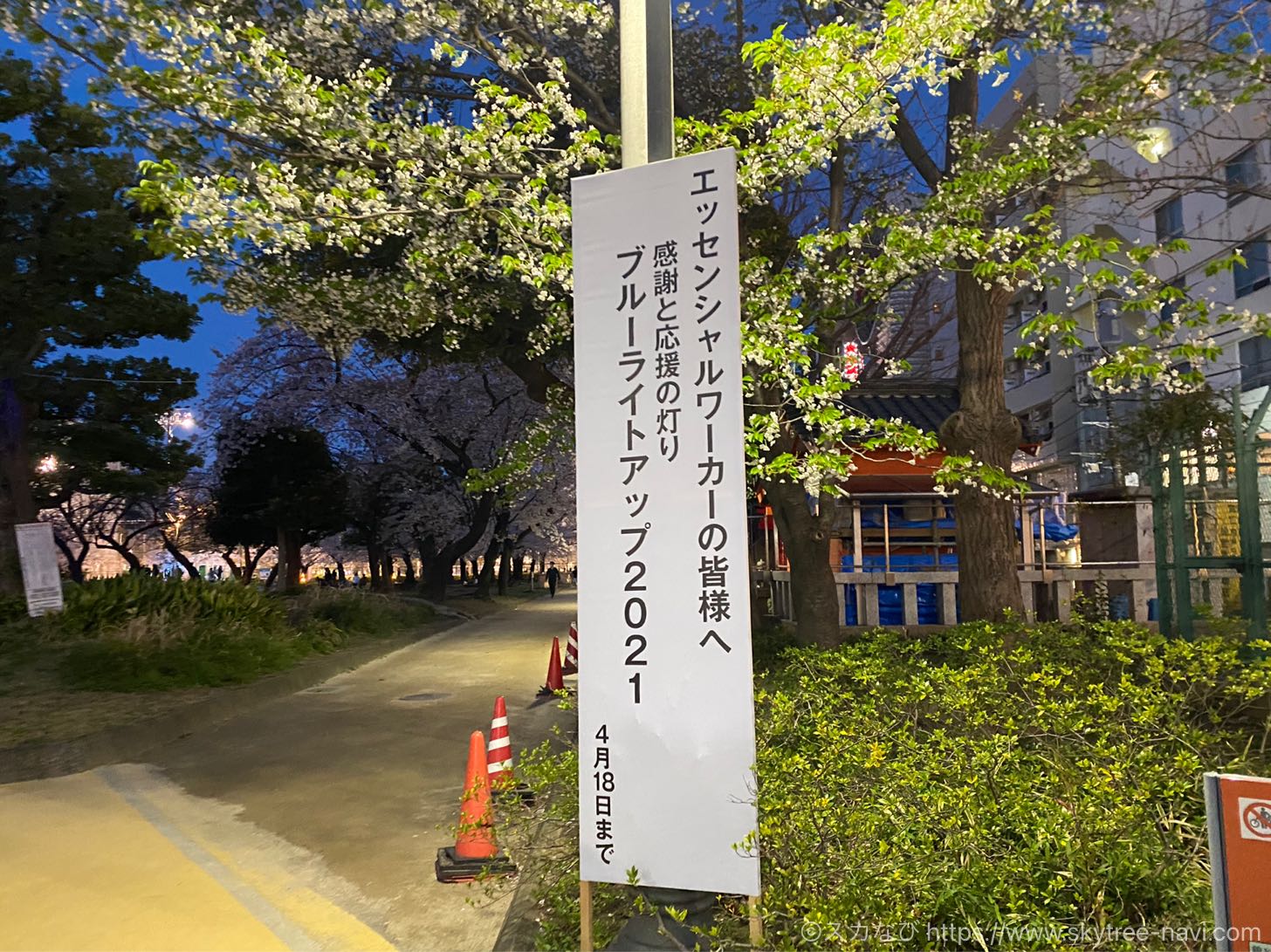 錦糸公園の桜ライトアップ