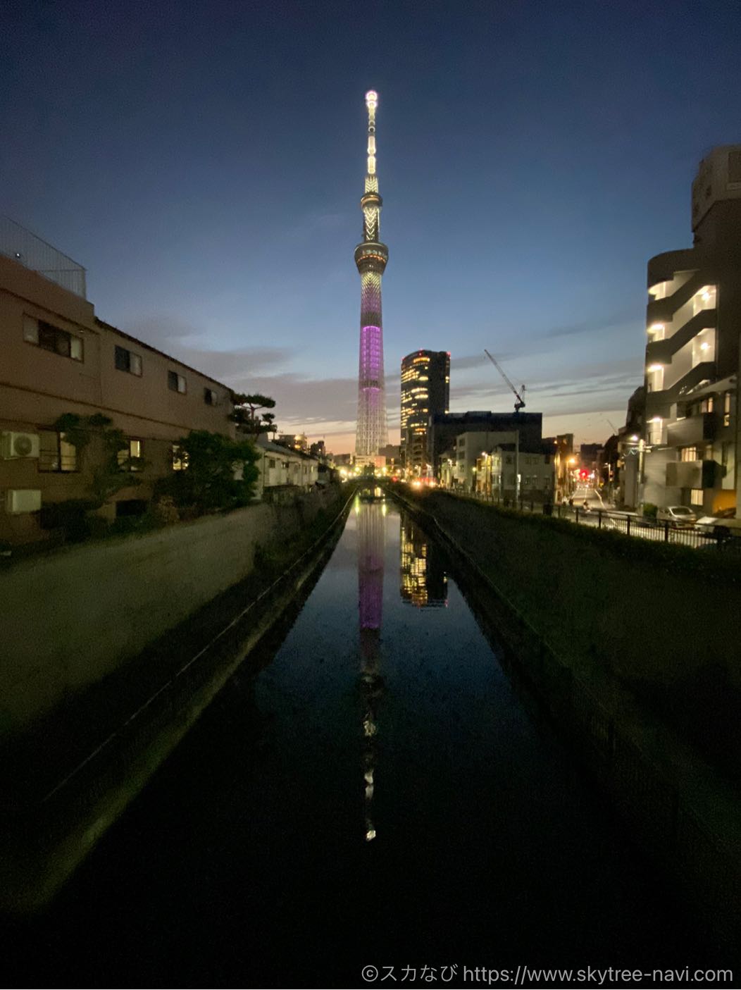 スカイツリー　聖火リレー特別ライティング　京都府