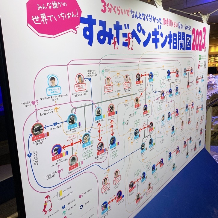 すみだペンギン相関図